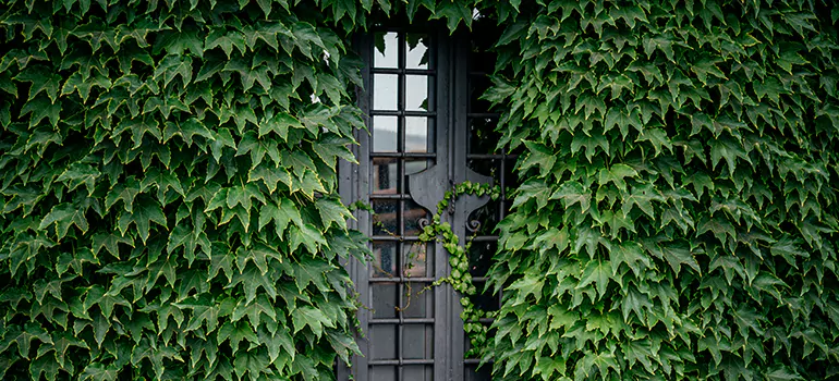 Garden Gate Repair in Titusville, FL